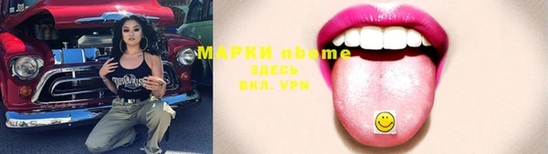 соль ск Гусиноозёрск